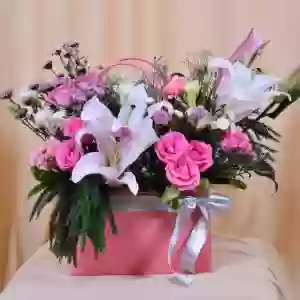 Noble Blossoms