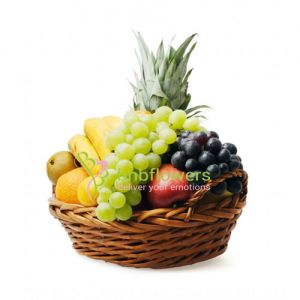 Cutie Fruit Basket