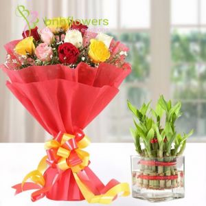Colorful Roses With Good Luck 