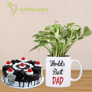  Pothos Plant In The Customized Mug With Cake