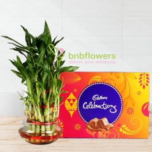 Three Layer Bamboo with Sweetness